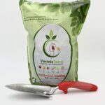 10LB standard trowel
