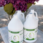 Quad Tea-0028