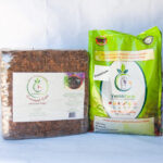 cococoir-castingsp_img