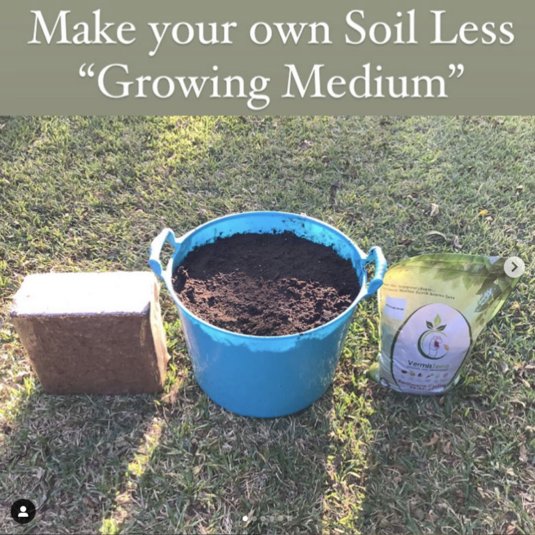 Worm Castings and Coco Coir Mix, A Great seed starter and veggies