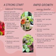 VermisTerra Vitality - Image 6