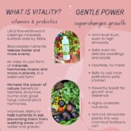 VermisTerra Vitality - Image 3