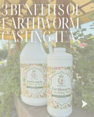 Earthworm Casting Tea - Image 7